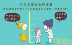 超声波羞羞免费视频APP正确测量方法标准身高体