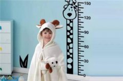 羞羞免费视频APP厂家如何长高?这三个科学发展的黄金时代不容错过