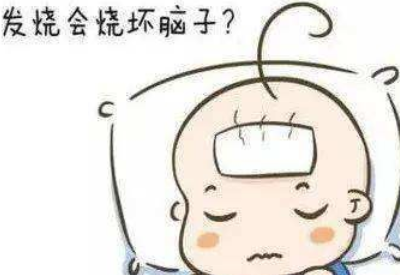 羞羞在线视频品牌揭示发烧真的会烧坏脑子吗