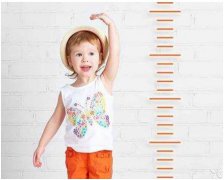 709黑龙江佳木斯-山东羞羞动漫在线观看揭示儿童身高体重秤的功能和参数