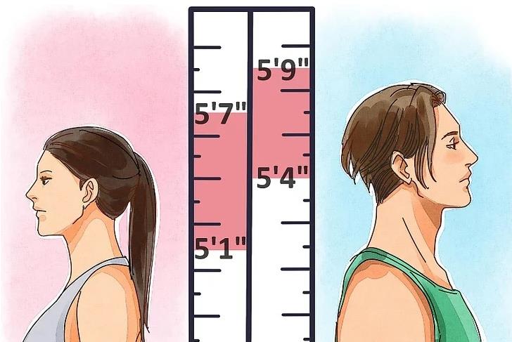 超声波羞羞免费视频APP关于高个子的人更长寿的观察报告